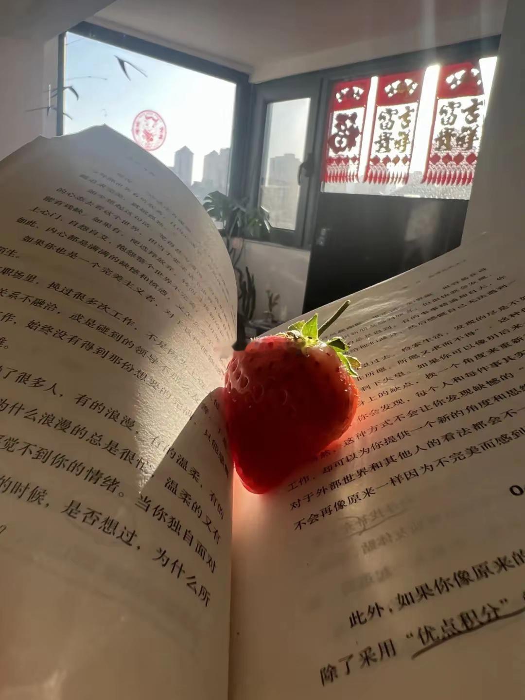 白羊座的性格比较活泼，但其实他们的内心并不像表面看起来那样，其实他们很内向，是典