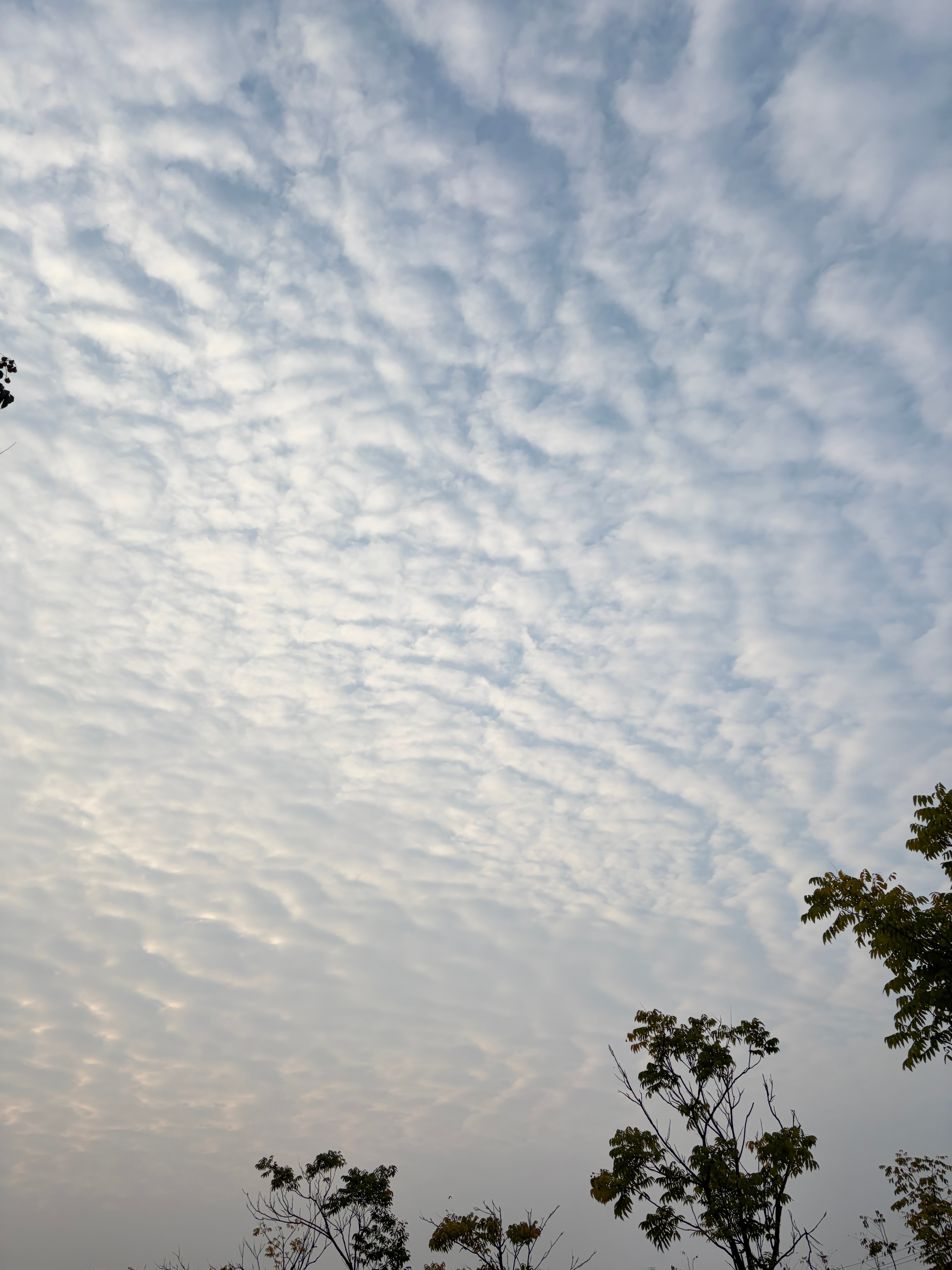 早安[太阳][太阳][太阳]在每一个崭新的日子里，尝试新的事物，迎接新的挑战，让