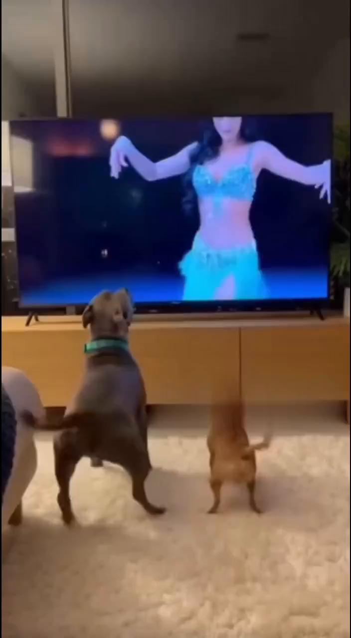 这波操作都看傻了。