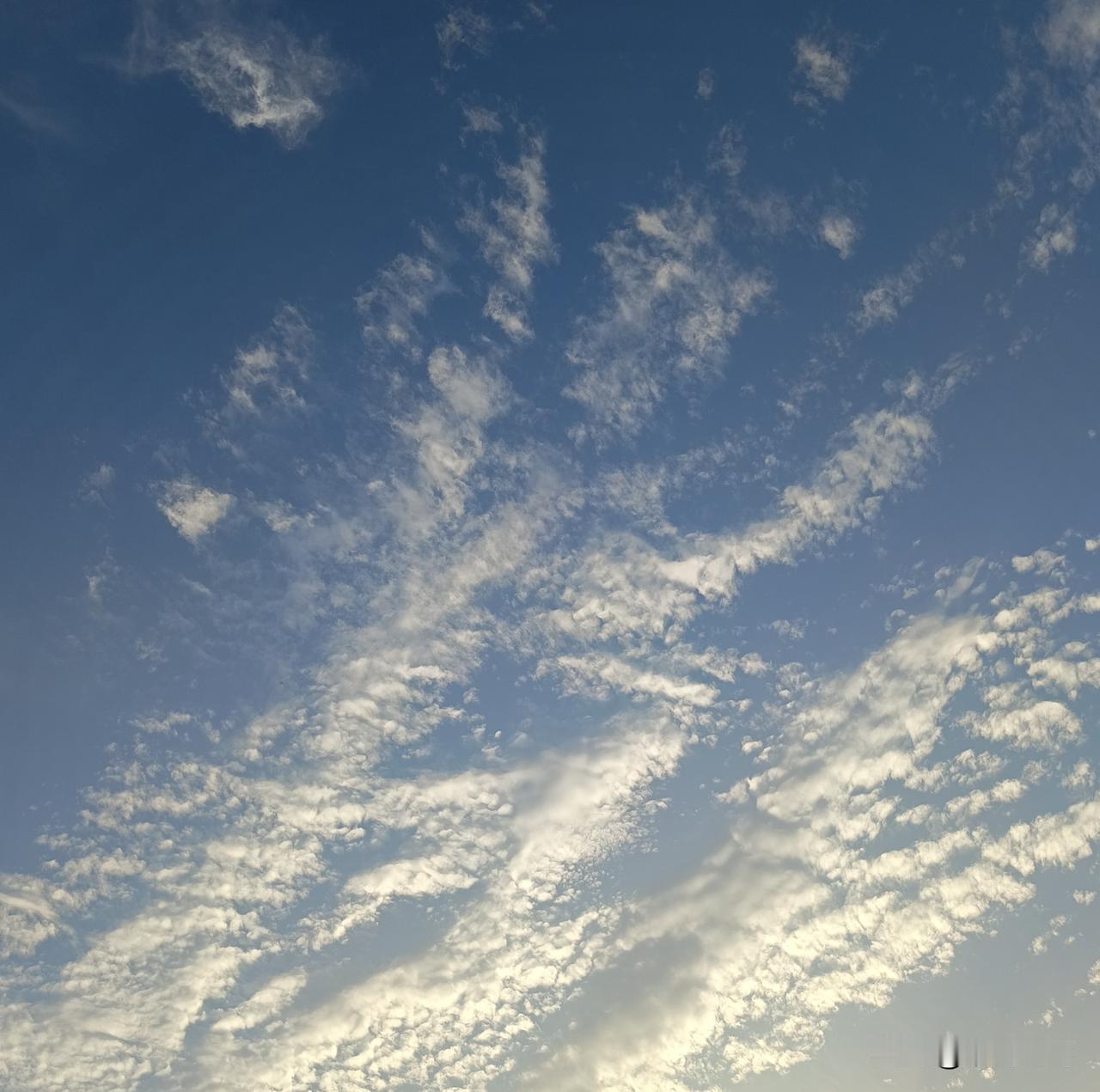 长相思·夏日晚情
榴花红。荷花红。轻曳新姿沐晚风。云边淡淡彤。
物匆匆。人匆匆。