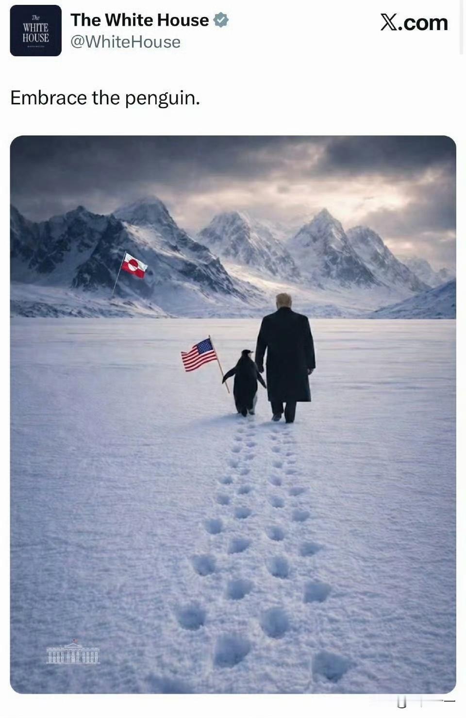 我都要笑死了，美国白宫发了张图片，图片上是特朗普牵着一只企鹅，举着美国国旗走向格