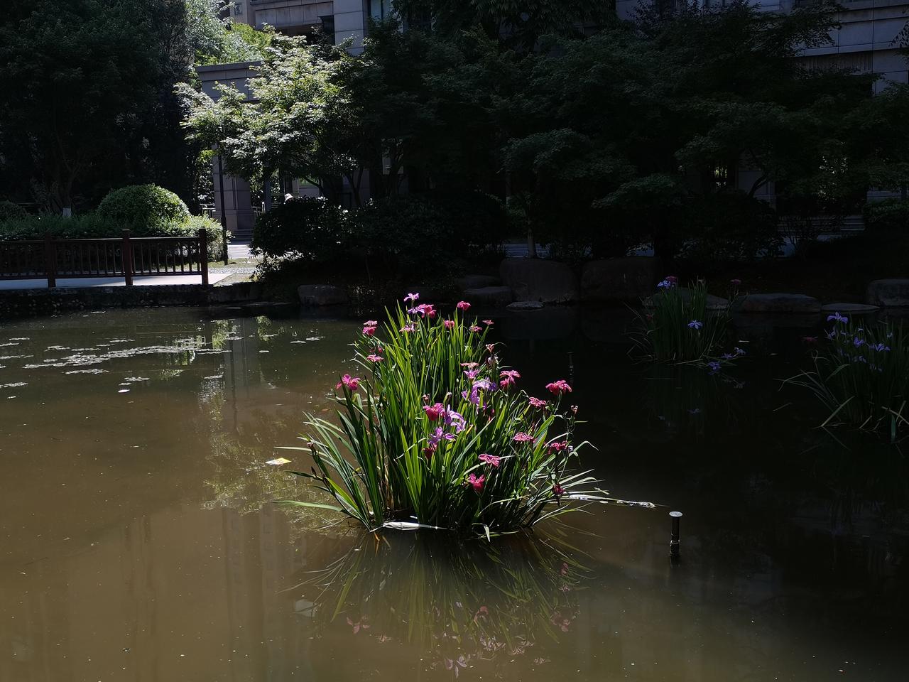 之前儿子不认我这个妈，还骂我骂得很难听，现在我却成了他们家的大功臣！

30多年