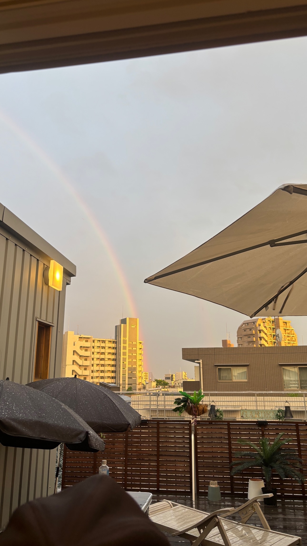 高井真菜（ins 快拍 