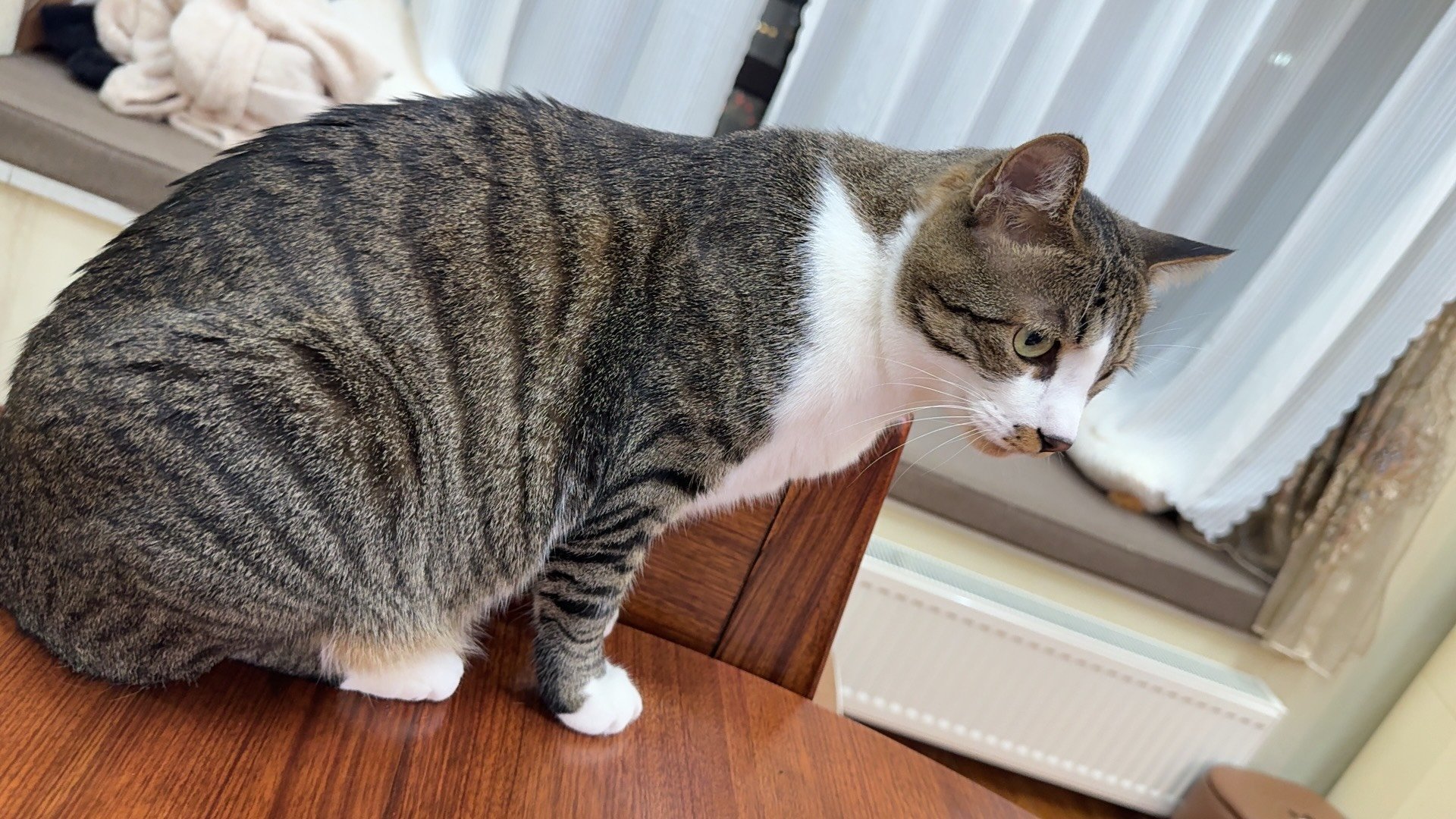 签到签到早点睡觉，明早还得开会呢           