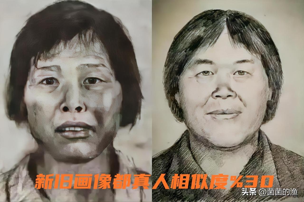 这一天，我们足足等了快二十年！听到“梅姨”落网的消息，我第一反应不是激动，而是长