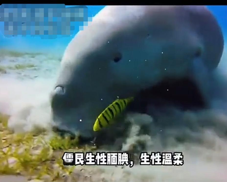 一个遭遇职场霸凌的姐妹打电话向我哭诉：我从来都是与人为善，不争不抢，可是为什么总