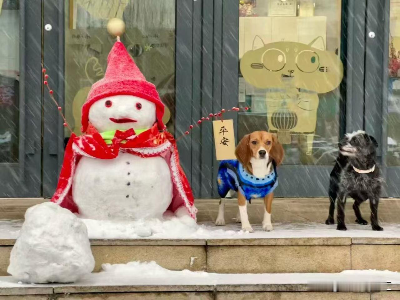 北京今天下大雪了，现在的雪量到底多大呢？
正好随手拍到了一张照片，北京的初雪，已