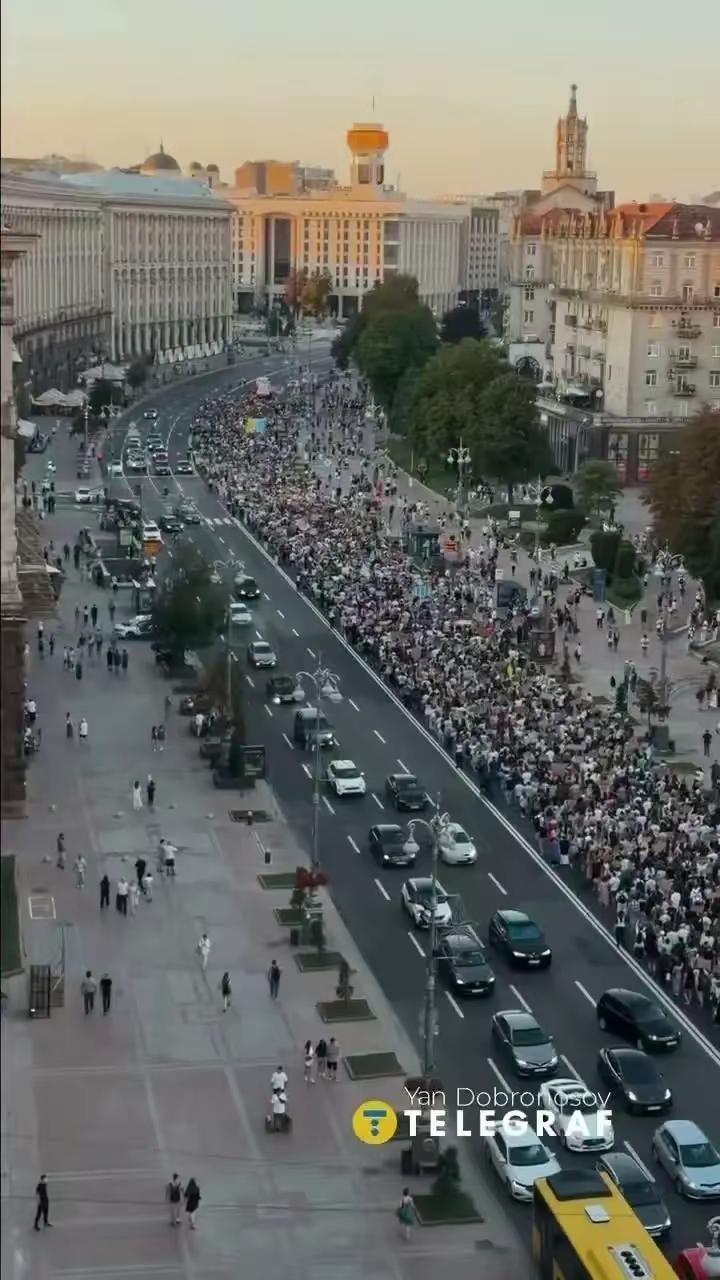 7日31日，7月最后一天，乌克兰人在基辅更大规模抗议，要求费多罗夫复职。

泽连