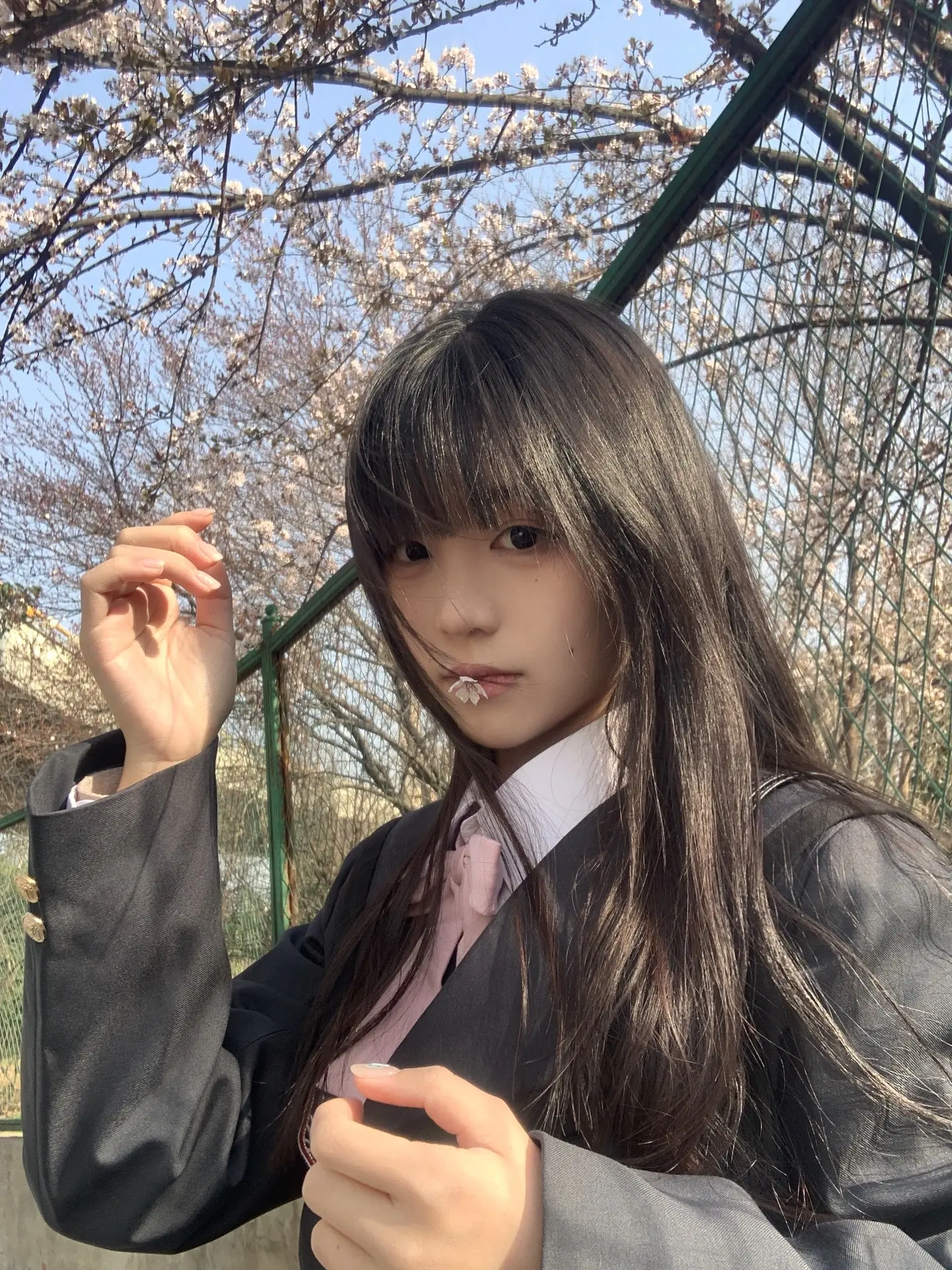 春和景明 在春天也会有新的开始