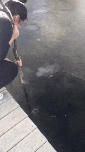 目的达成，心满意足