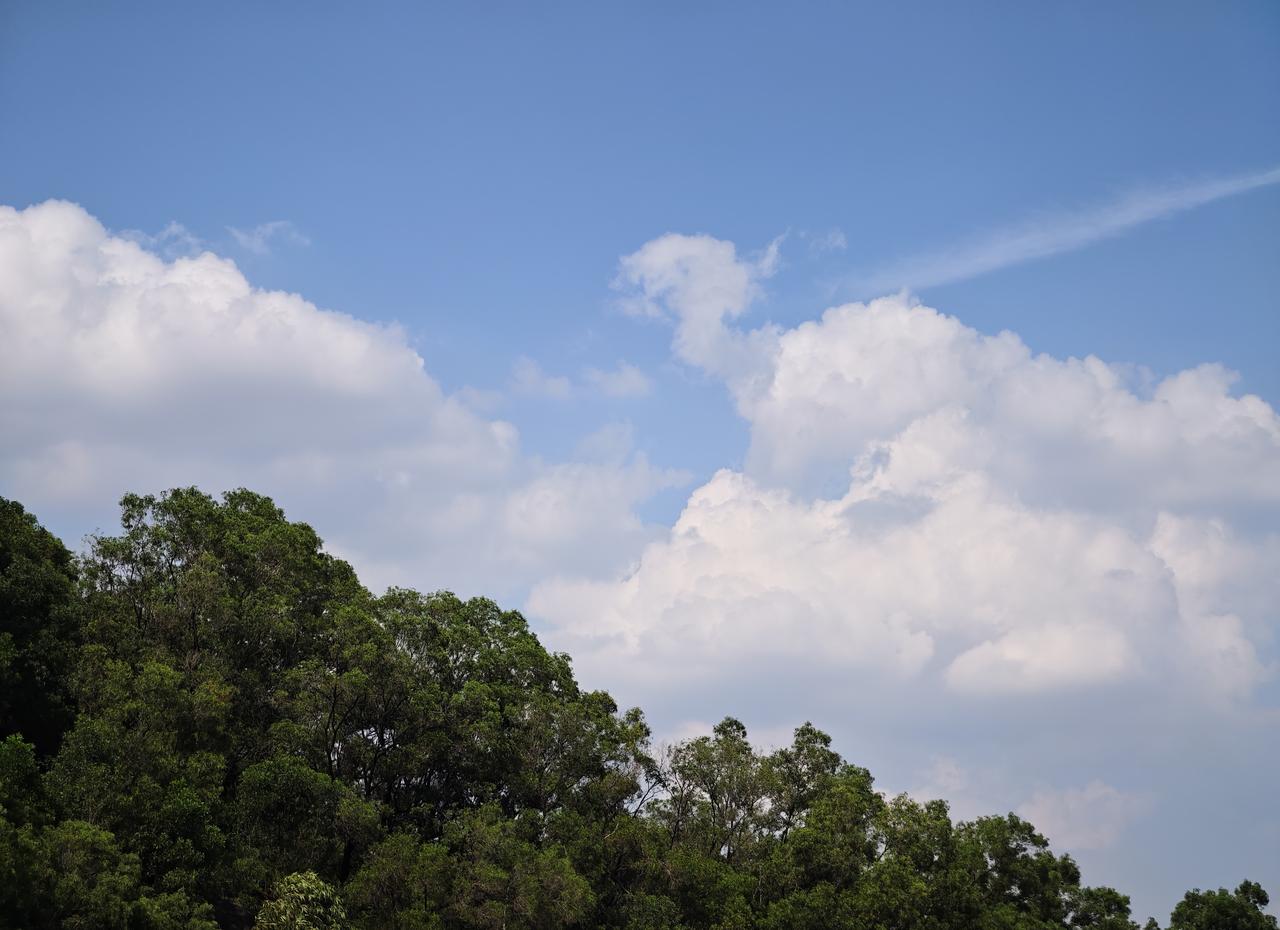 夏日生活打卡季篮天白云