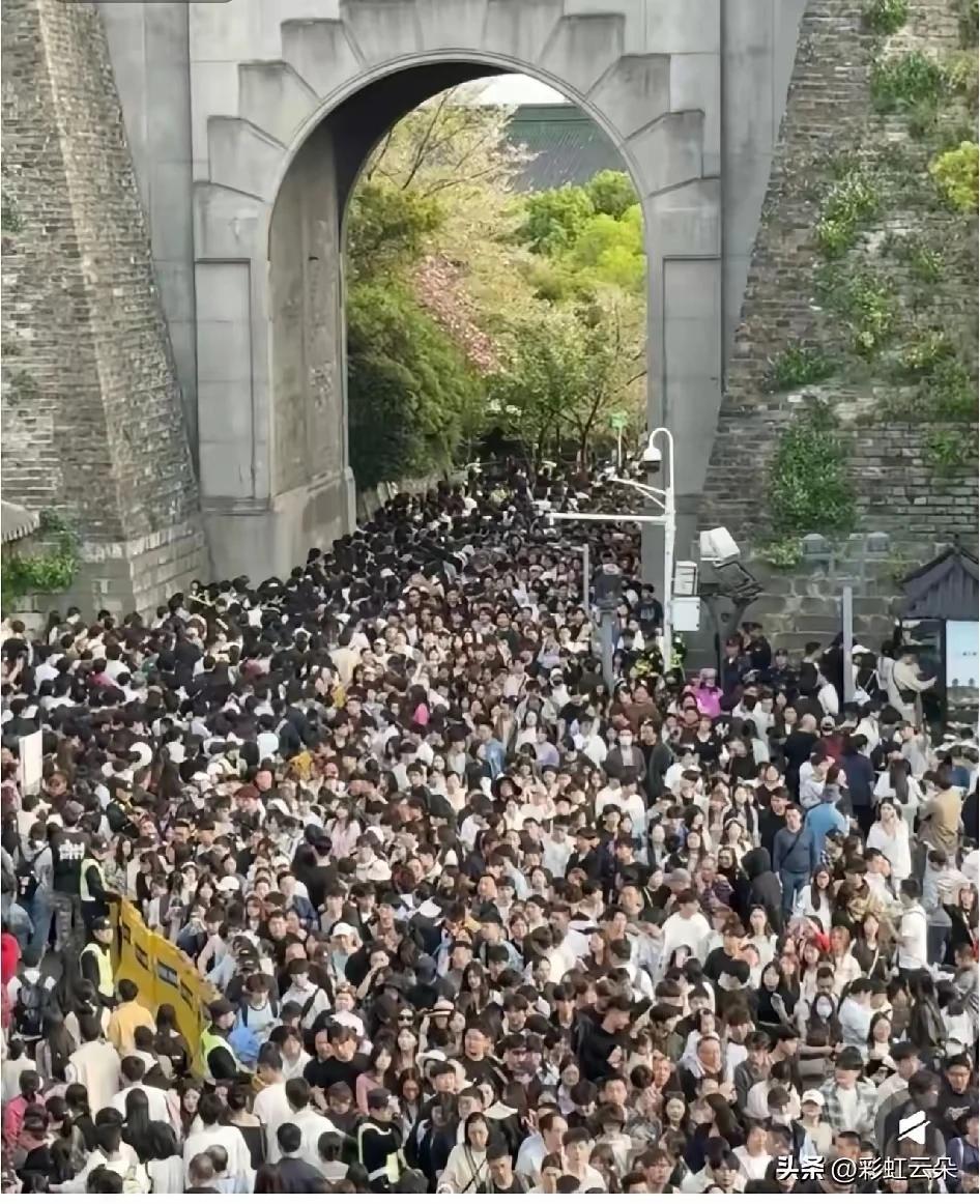 这是南京玄武湖公园与鸡鸣寺交合出口通道，主要是逛玄武湖公园顺观看鸡鸣寺马路旁的樱