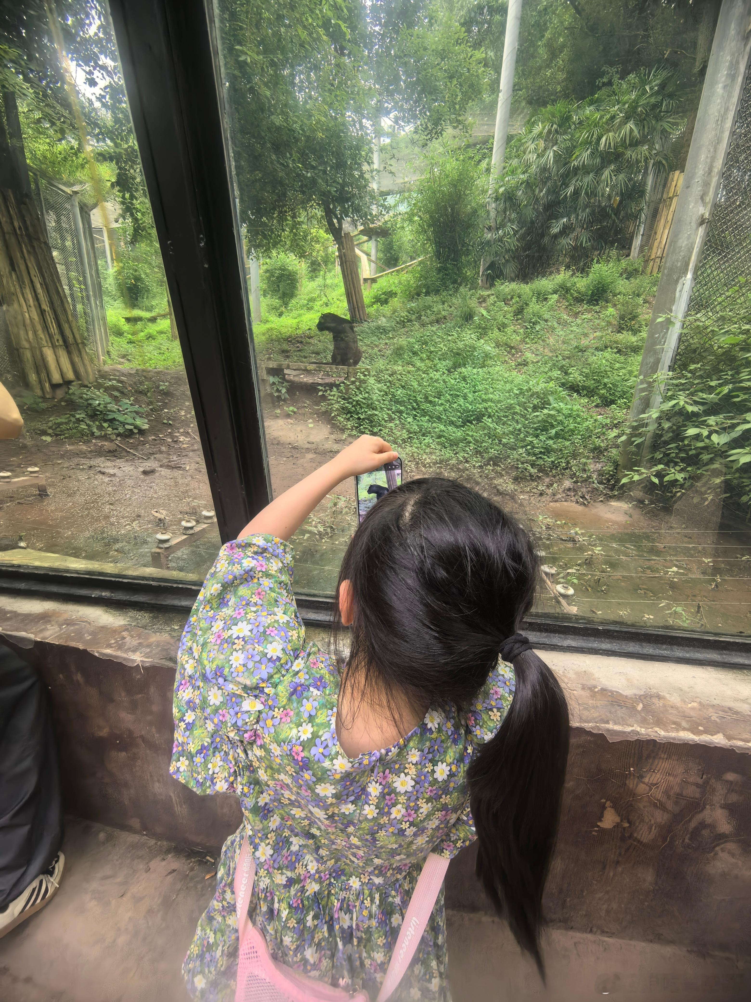 看着女儿在整理明天去幼小衔接中午睡觉用的被子我不禁鼻子一酸老父亲真的希望她跟前几