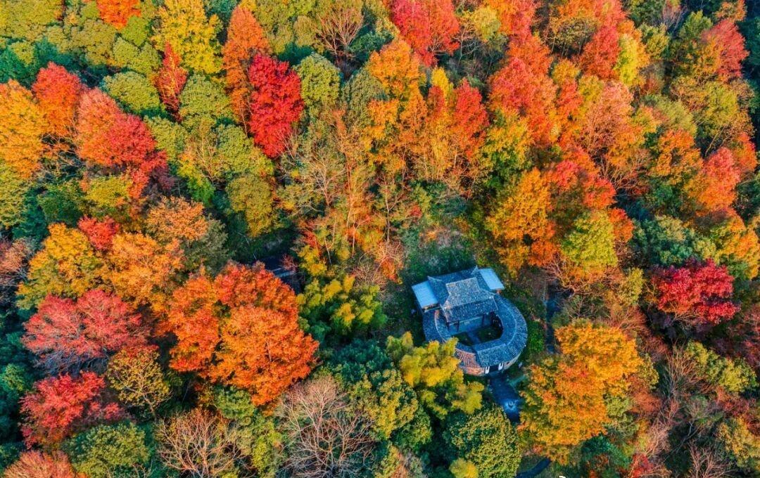 “秋实闽西”参赛作品【22】简晓金、邓祥明、廖琦、刘芬、谢智煌
​​​