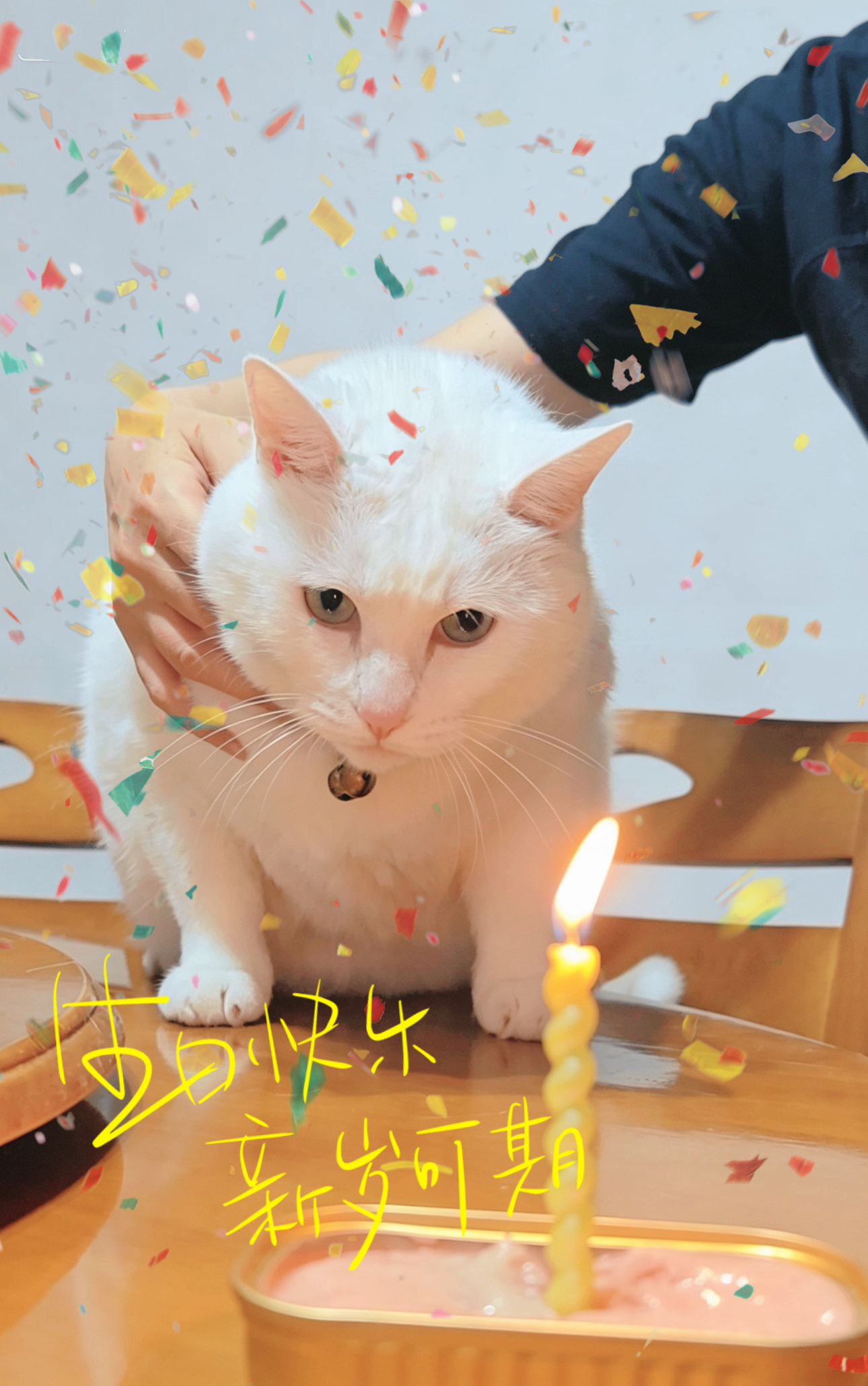 无名小辈铛铛喵生日快乐 铛铛 八周岁生日快乐！[打call][打call][打c