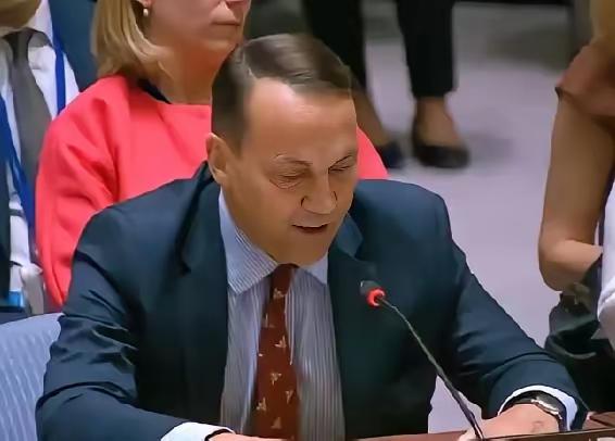 波兰外交部长西科尔斯基：
我对俄罗斯政府只有一个请求：如果再有导弹或飞机未经允许