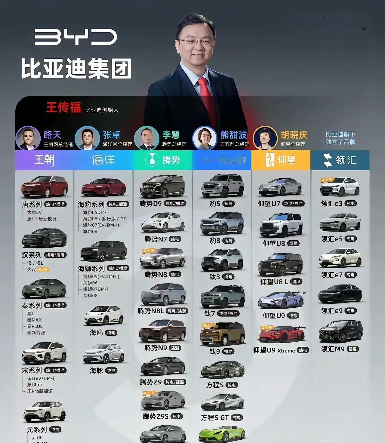 网友：这就是比亚迪有望成为世界第一车企的底气！