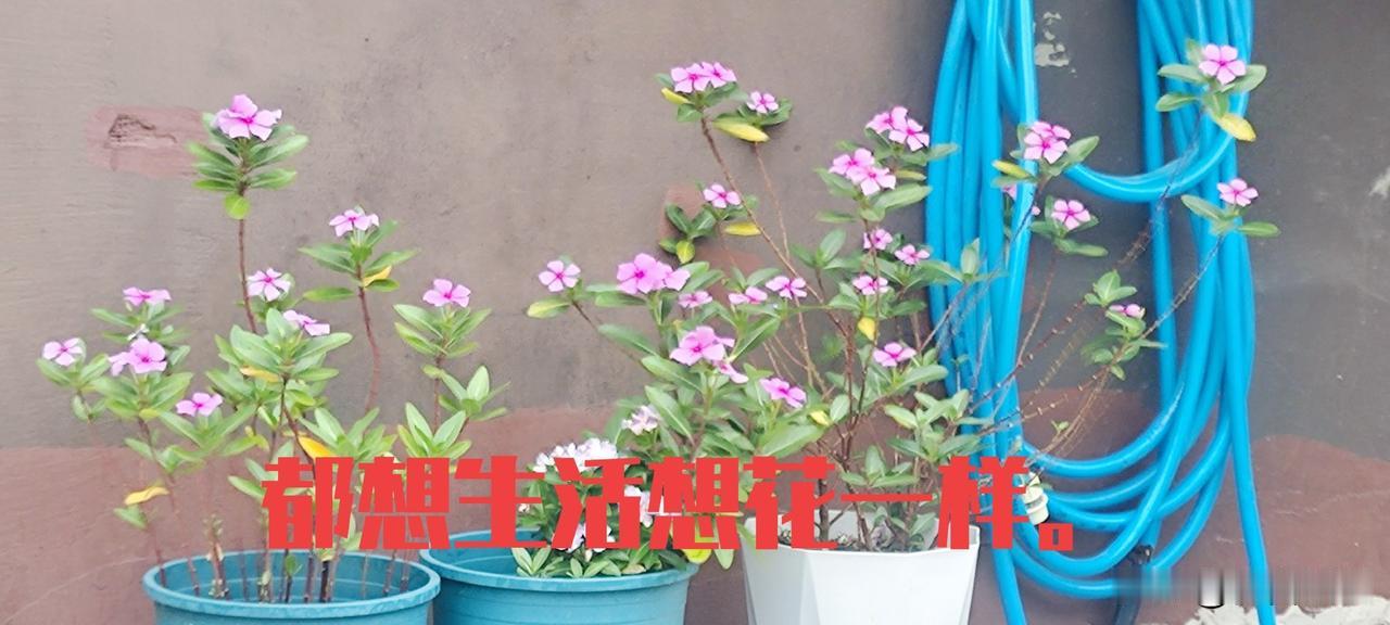 为了碎银力量，
混的遍体鳞伤。
为了碎银几两，
压弯了脊梁。
为了碎银几两，
多
