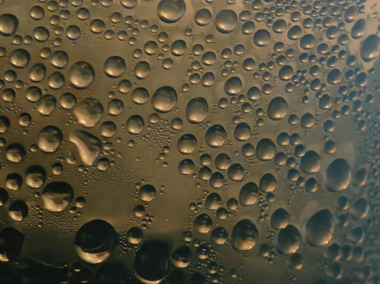 洛阳事业单位面试：展鹏教育，一个老师最多带12人：8年师资，所有岗位0元学