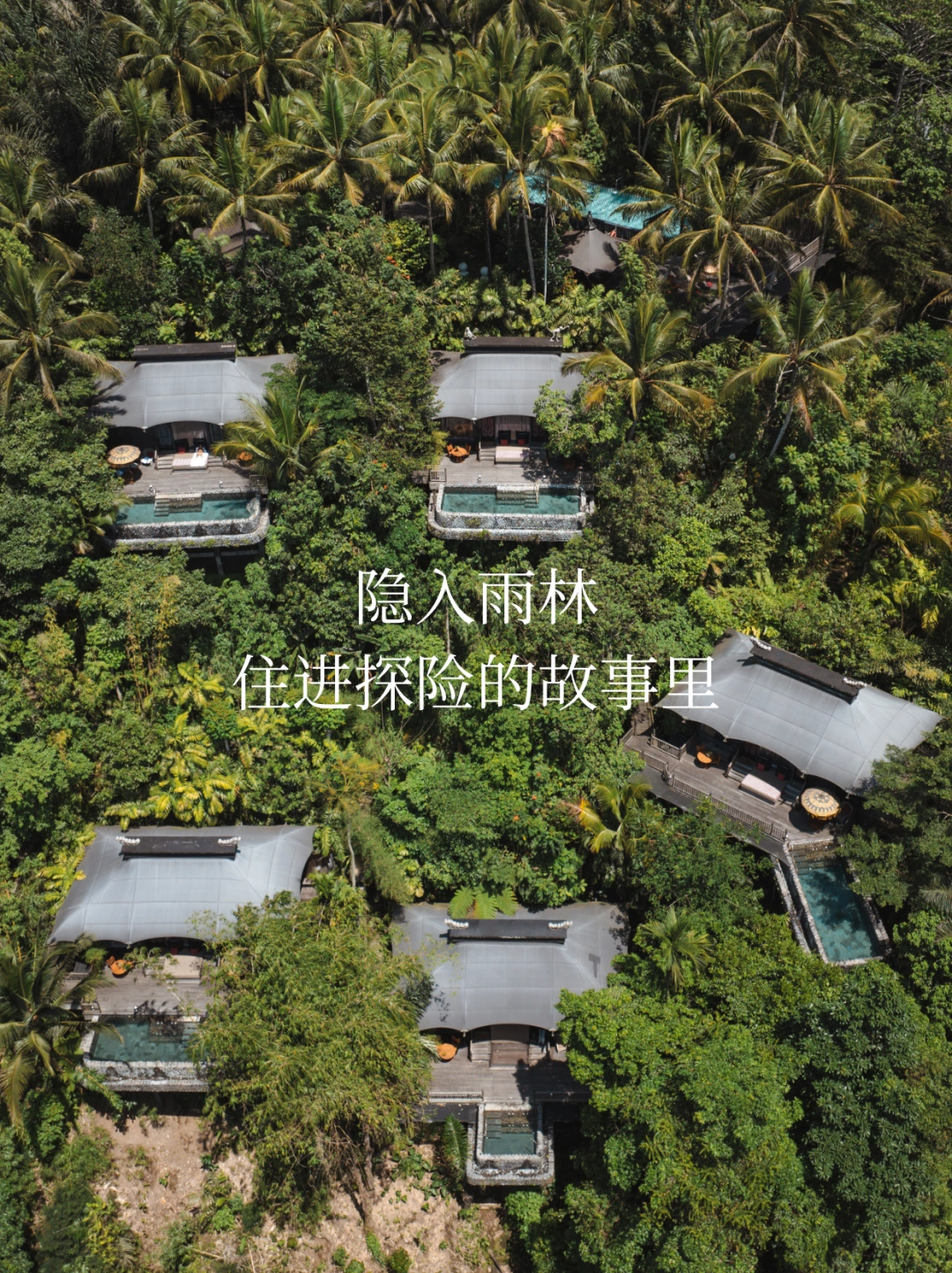 隐入雨林，住进探险的故事里