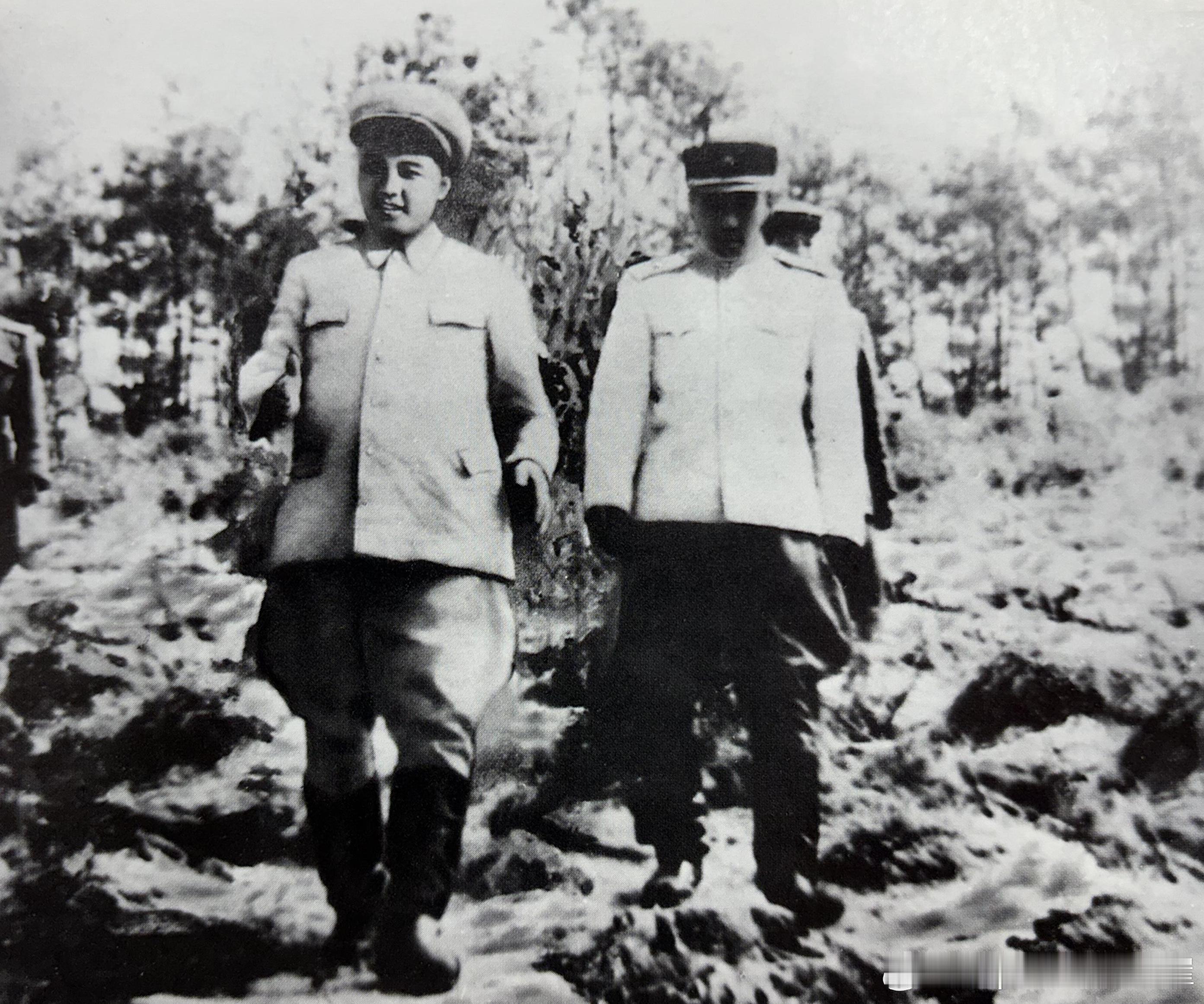 1952年6月金日成视察姜健军官学校。该校最初是1945年成立的平壤学院，194
