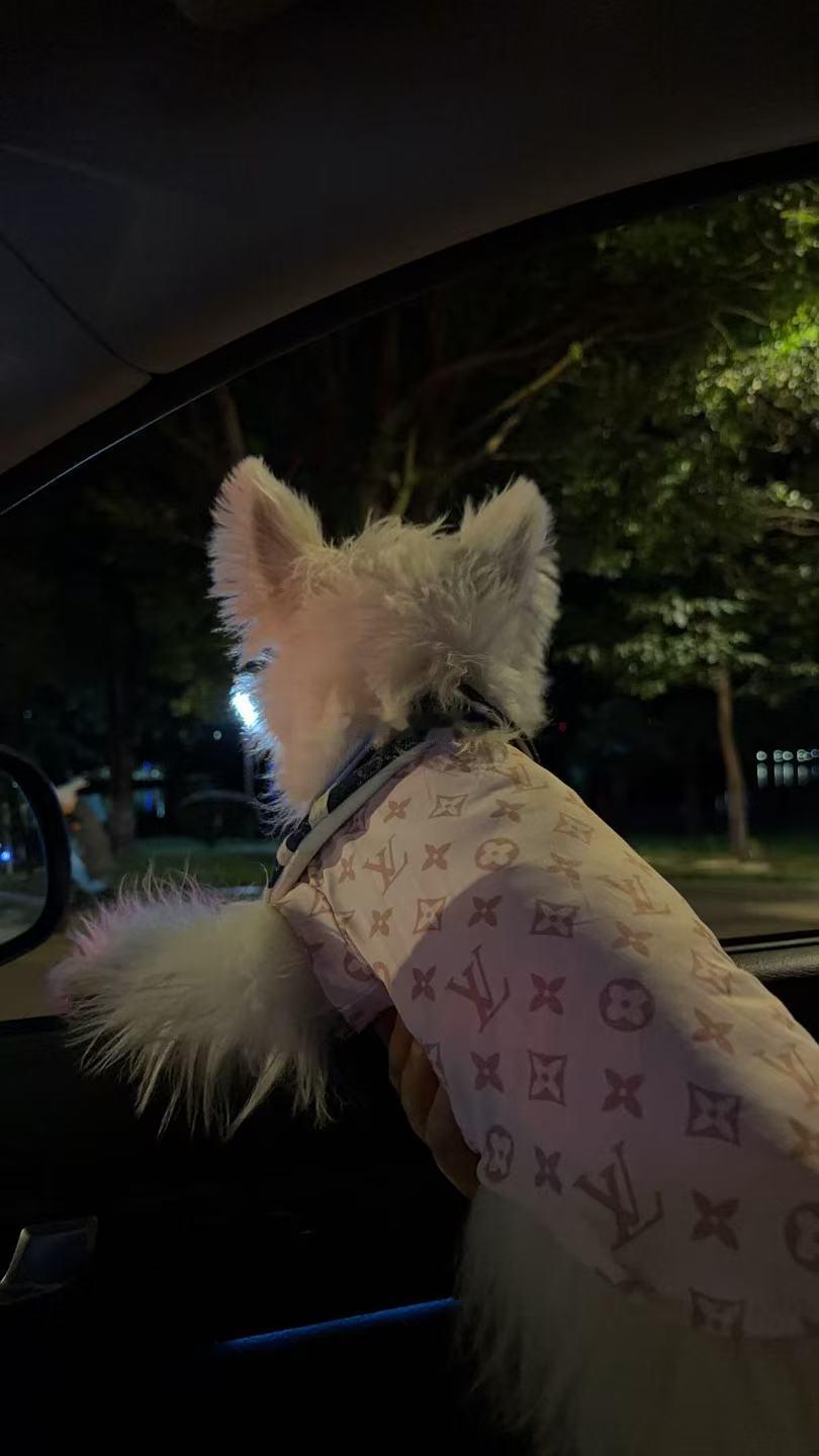 空调不吹非要伸脑袋出去吹热风