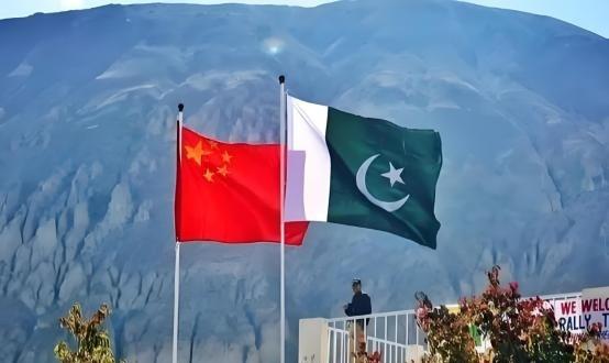 巴基斯坦以为捏住了中国的“七寸”，其实是在玩火自焚！很多人以为中国为了瓜达尔港只