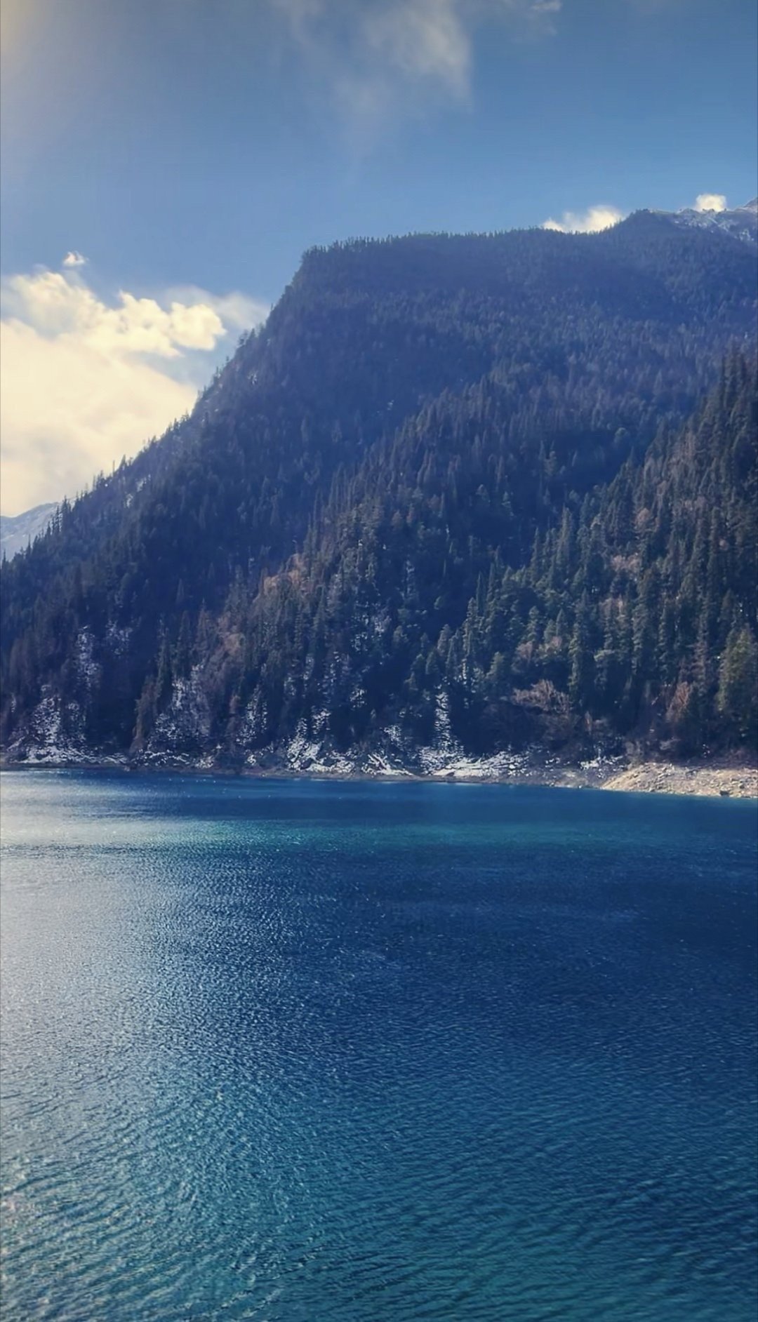 放下无用的执念，清空多余的期待，轻装前行，方能行稳致远。—— 白鹿书屋 