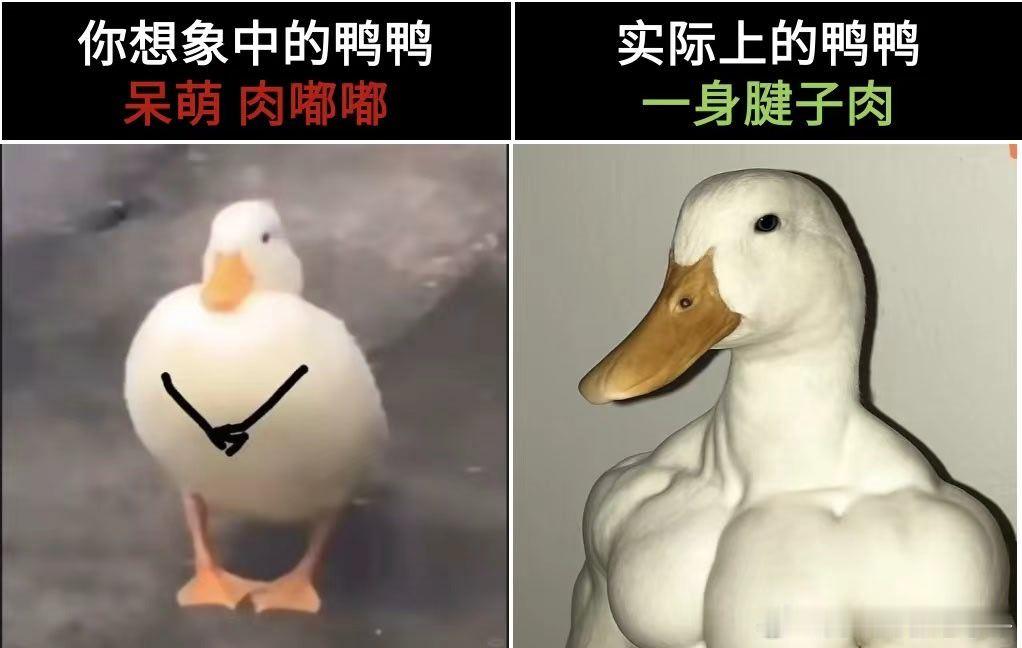 13862 立/勋概念 