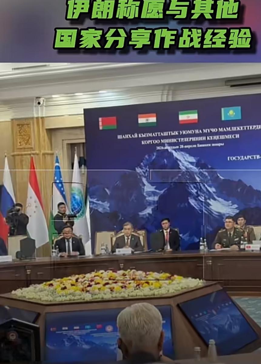 近日伊朗国防部副部长塔莱尼克在上合组织防长会议上作了一段表态，内容相当耐人寻味。