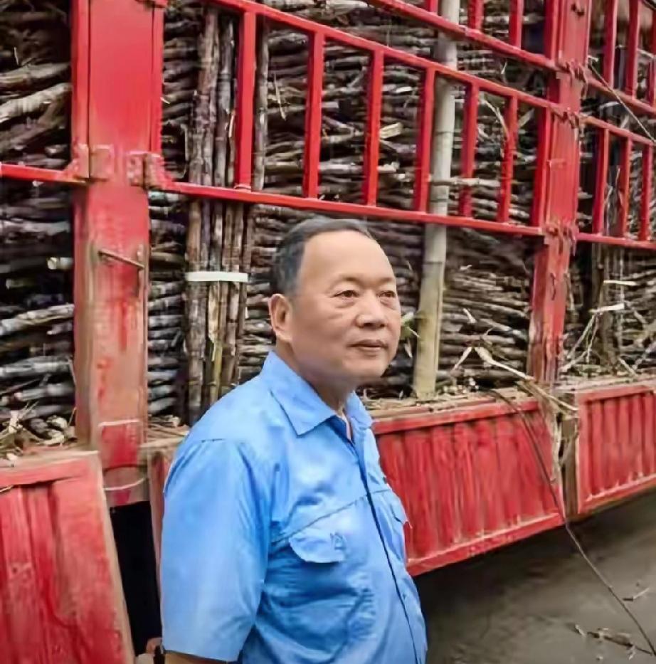 广东一家叫耀明的糖厂，最近立了个新规矩。
来送甘蔗的大货车，只要在门口排队，每吨