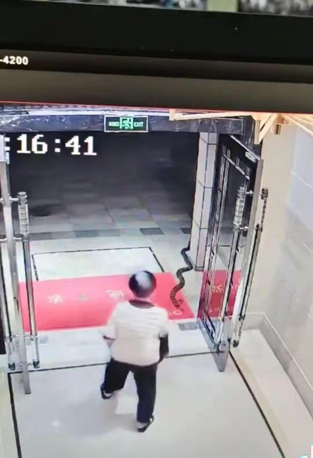 近日，广东惠州，视频显示，一条全身布满斑纹的大蛇钻进小区，爬到居民楼门口探起了头