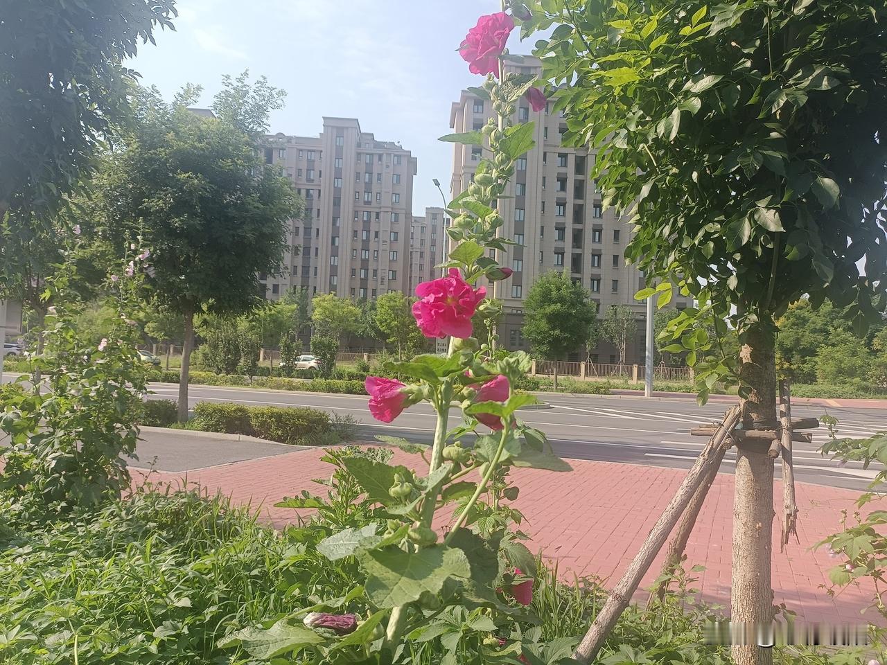 婆婆应该如何与儿媳相处?1. 婆婆少插手小家庭琐事，儿媳懂得尊重长辈，保持一碗汤