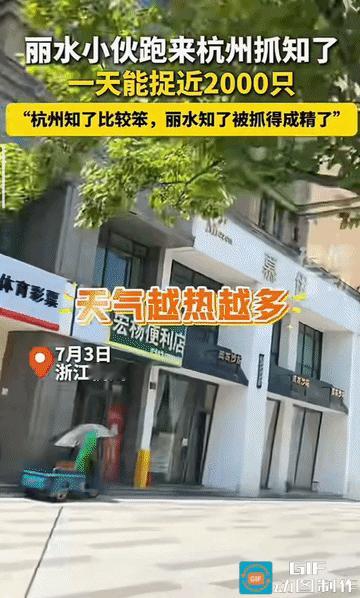 “抓不完，根本抓不完！”浙江杭州，一名小伙子因为抓知了一夜爆火了，奇葩的是，小伙