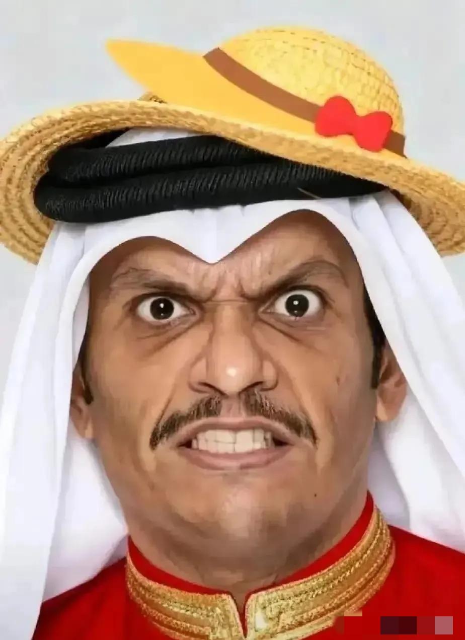 卡塔尔传来消息。
 
4月28日，卡塔尔外交部发言人安萨里突然表态：坚决反对把霍