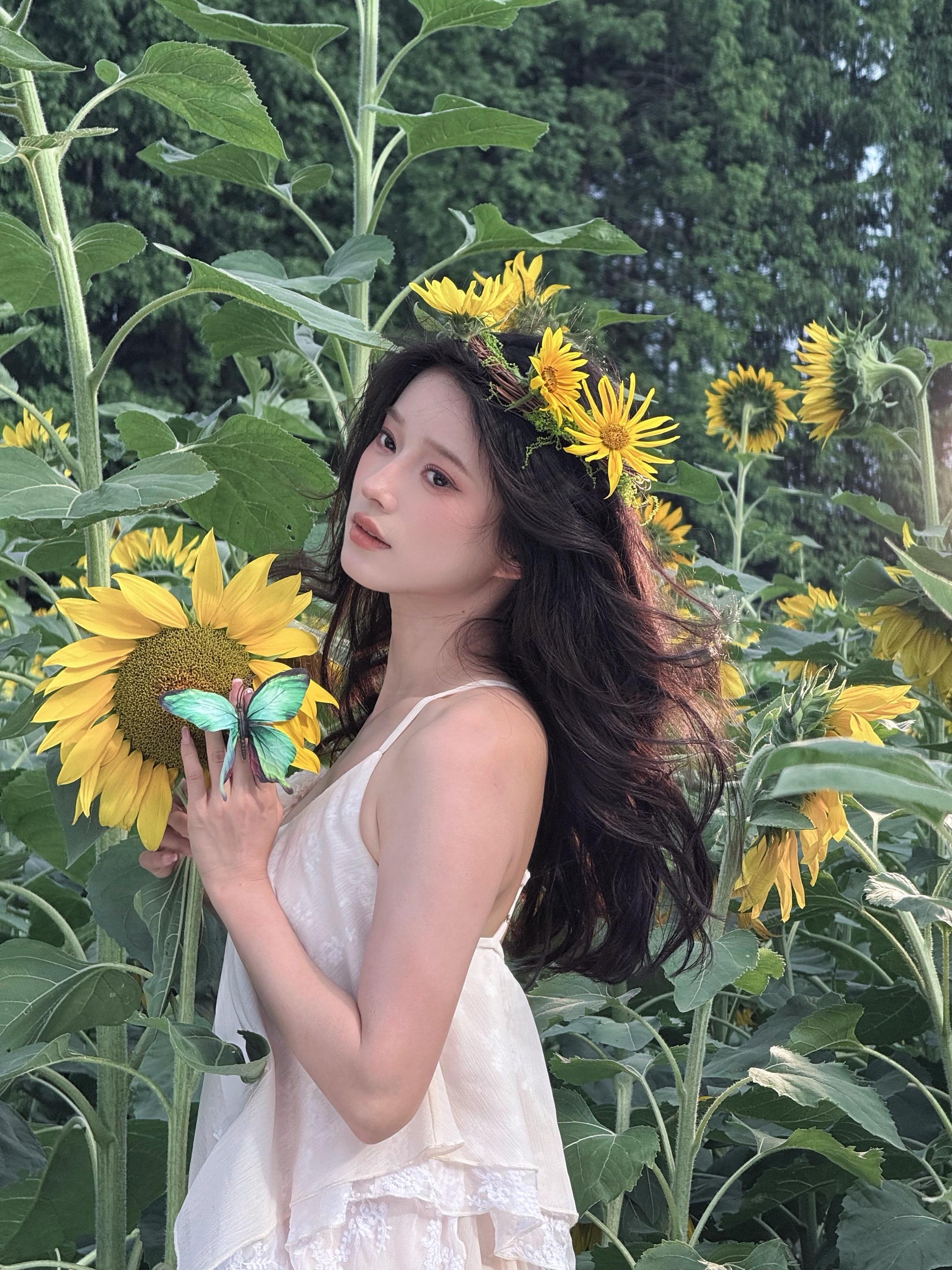 葵花花🌻