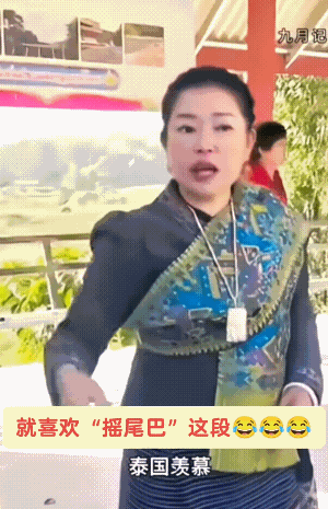 老挝导游炫耀，中老铁路就是好，那会都是抢着要和东大修高铁，越南、柬埔寨一个比一个