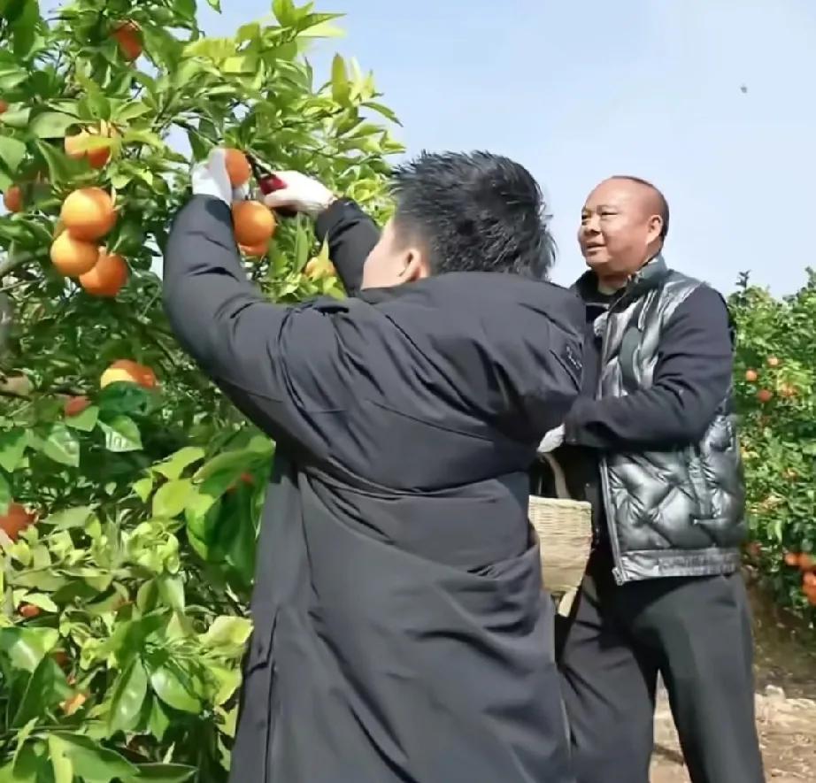 厉害！
今天董宇辉完美交卷！
潇潇开心地向网友们说道：
“在学霸宇辉的一通发挥之