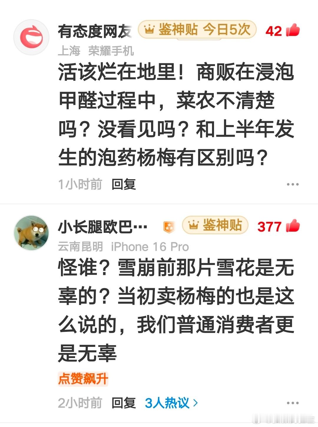 菜农自己种的白菜，任由人蘸上甲醛卖，又怎么能说是无辜？最无辜的，是被毒到百毒不侵