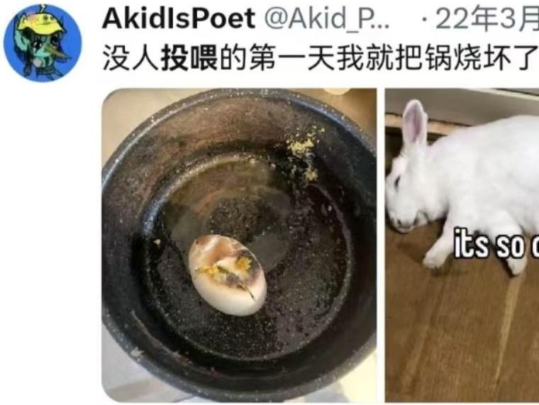 快寒假了，我姐问我是该让她女儿学画画还是该让她女儿学萨克斯？
我拿出这张王懿做的