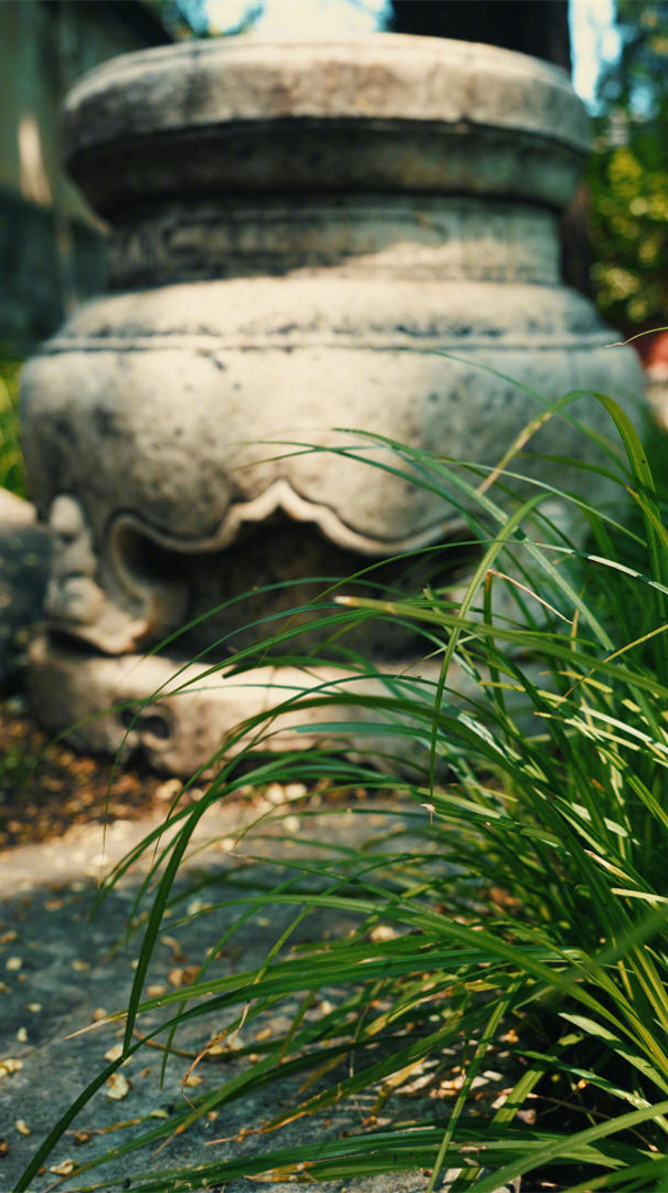 事情开始时太勉强，结果往往都不好。所以，遇见让你为难的事，越早喊停越好。 