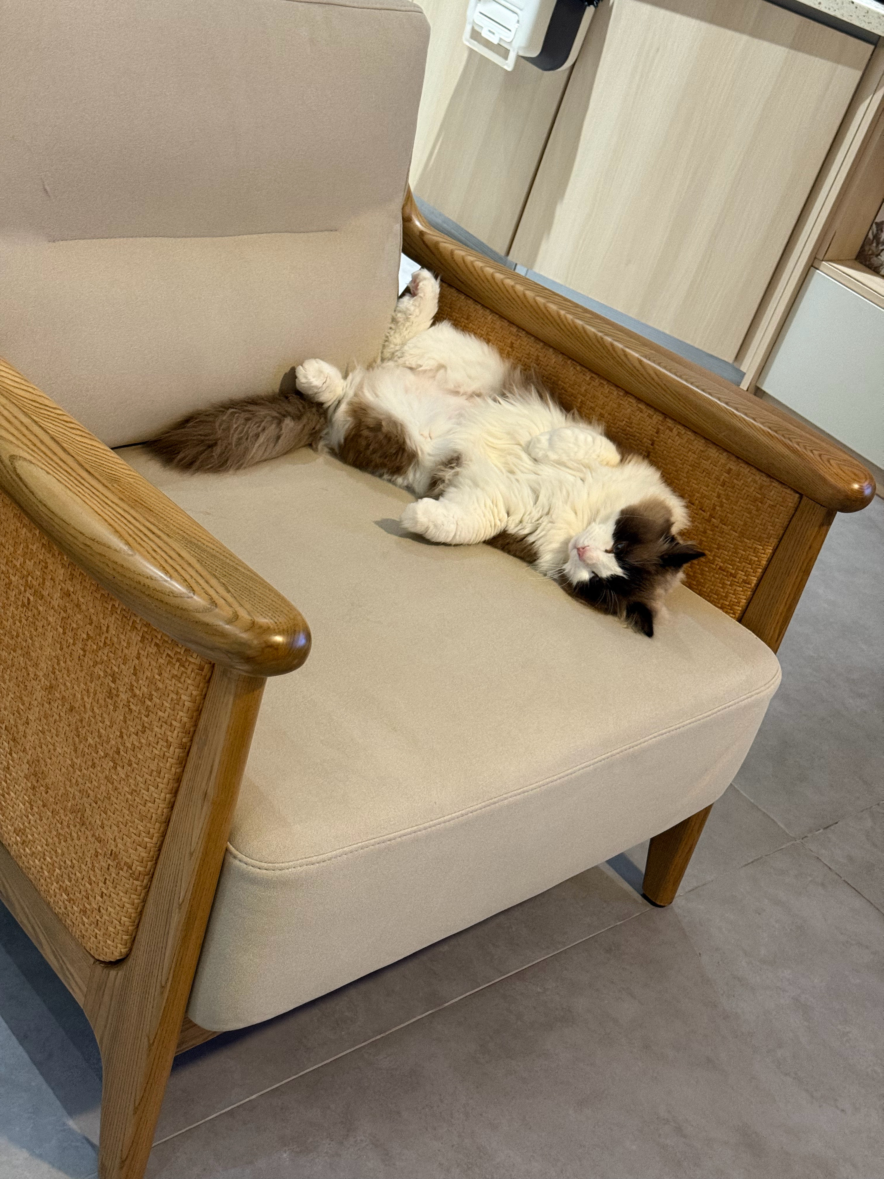 晚安啦，明天早机 