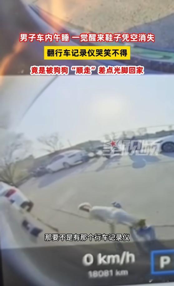 “笑疯了！”近日，上海，一男子在车内午睡，睡醒后发现鞋不见了，吓得他连忙查看行车