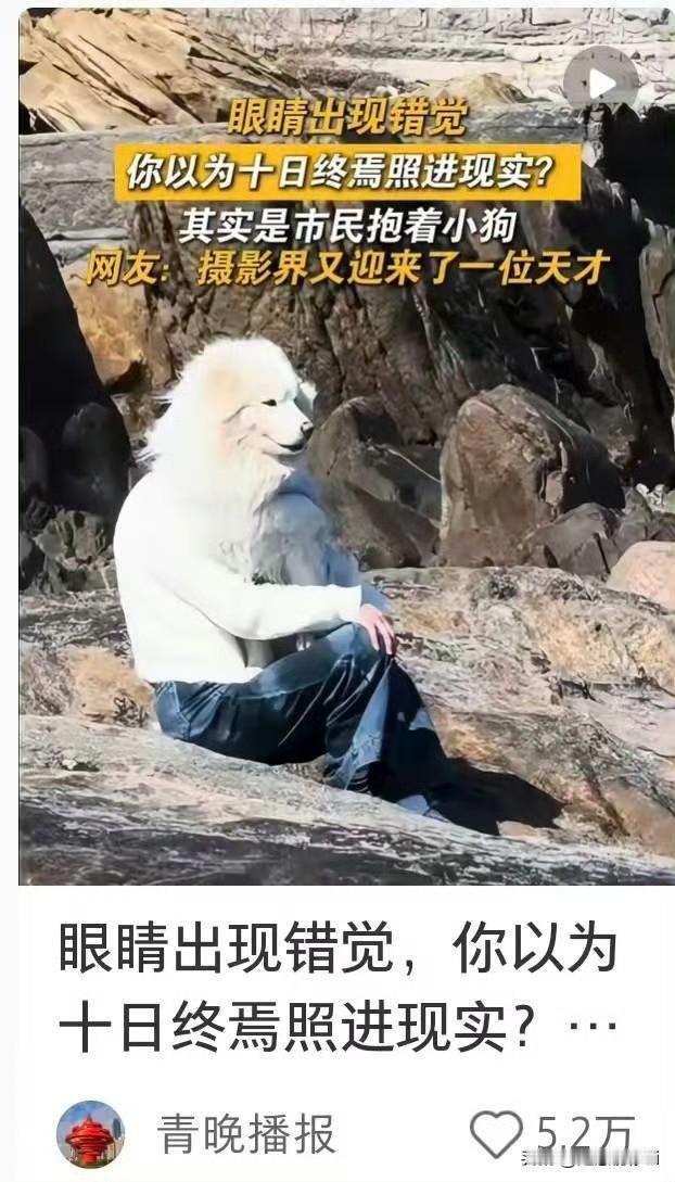 十日终焉很出圈啊，这个错位图太可爱了。更加期待肖战齐夏了