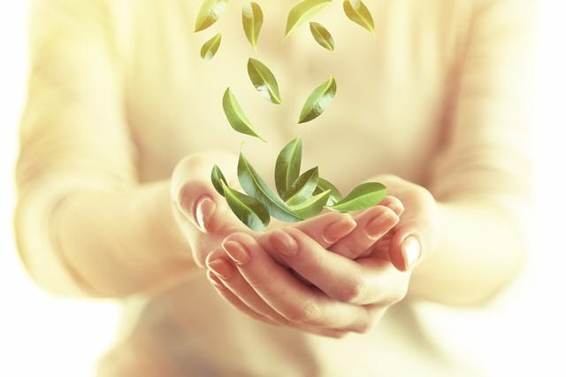 汇聚养生智慧，引领健康生活 

健康是人们一生中最重要的财富之一，而养生则是保持