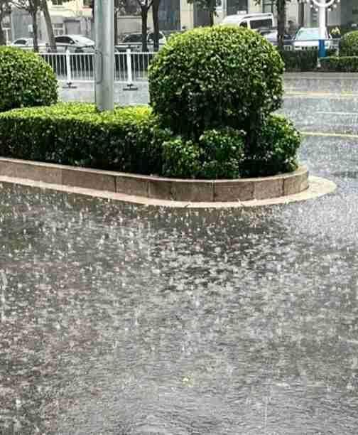 河满子.丙午秋雨

墨琴

丙午秋来骤变，昨宵寒雨长倾。
节候无端翻异态，冷风先