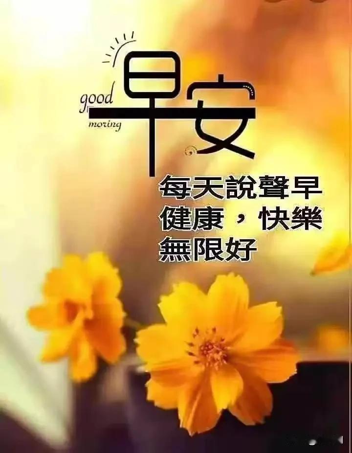 晨光斜斜地洒进窗台，尘埃在光柱里跳舞。其实生活就是这样——不必等万事俱备才去欢喜