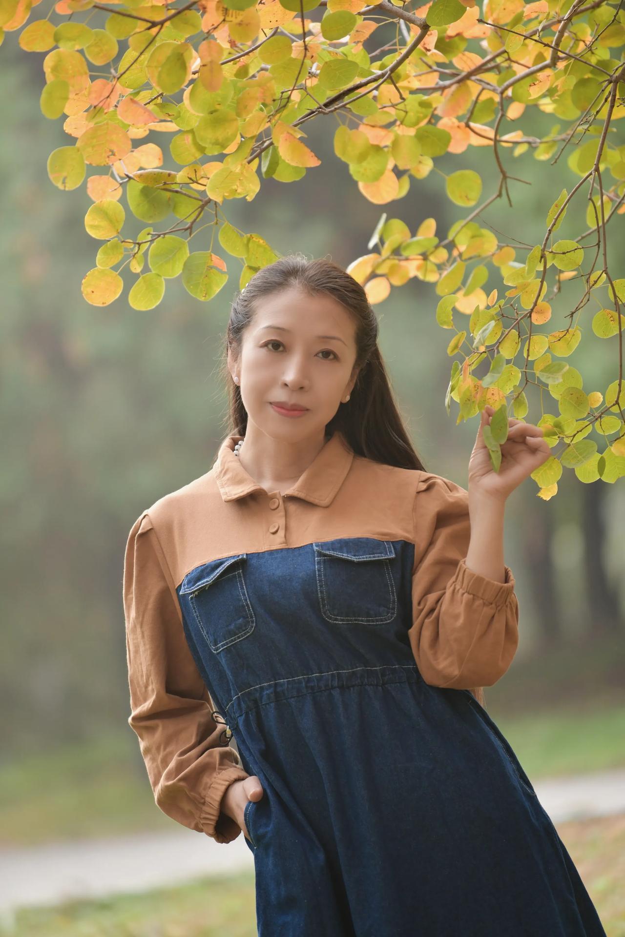秋冬季节，公园里一片金黄色的景象，拍摄于龙湖公园！#秋的影像# #枫树下的浪漫#