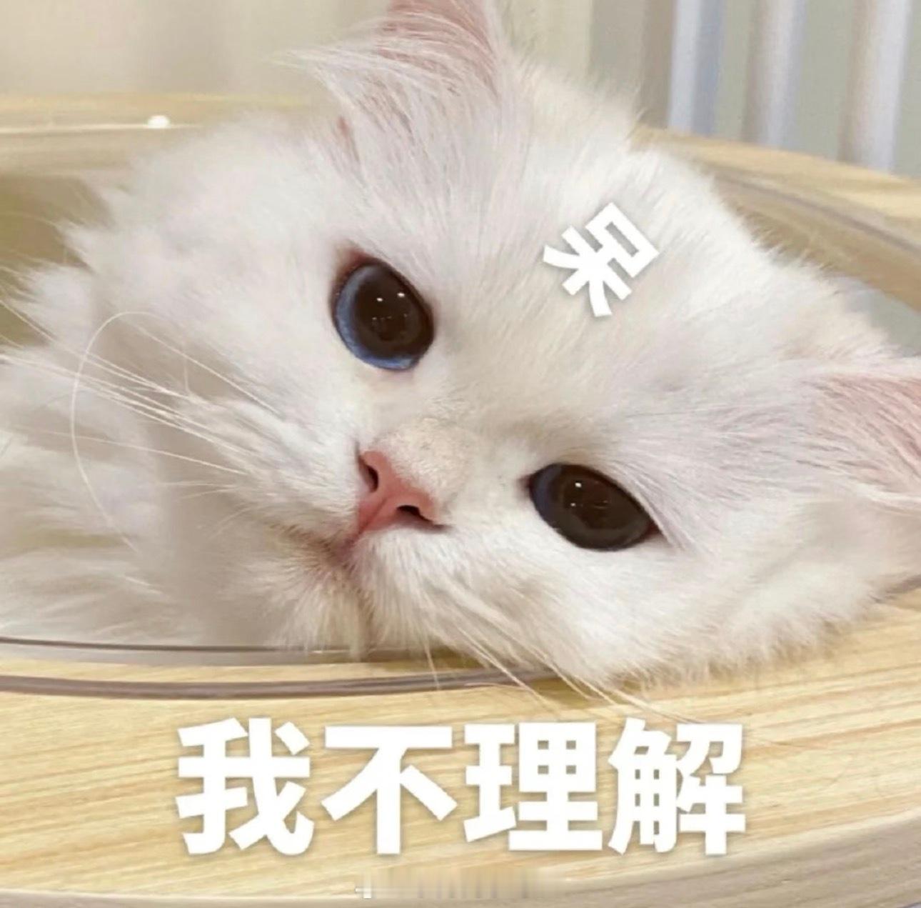 怀疑出轨 泼硫酸是怀疑还是确定了？虽然男的很k h、但是这么做也毁了自己啊、为了