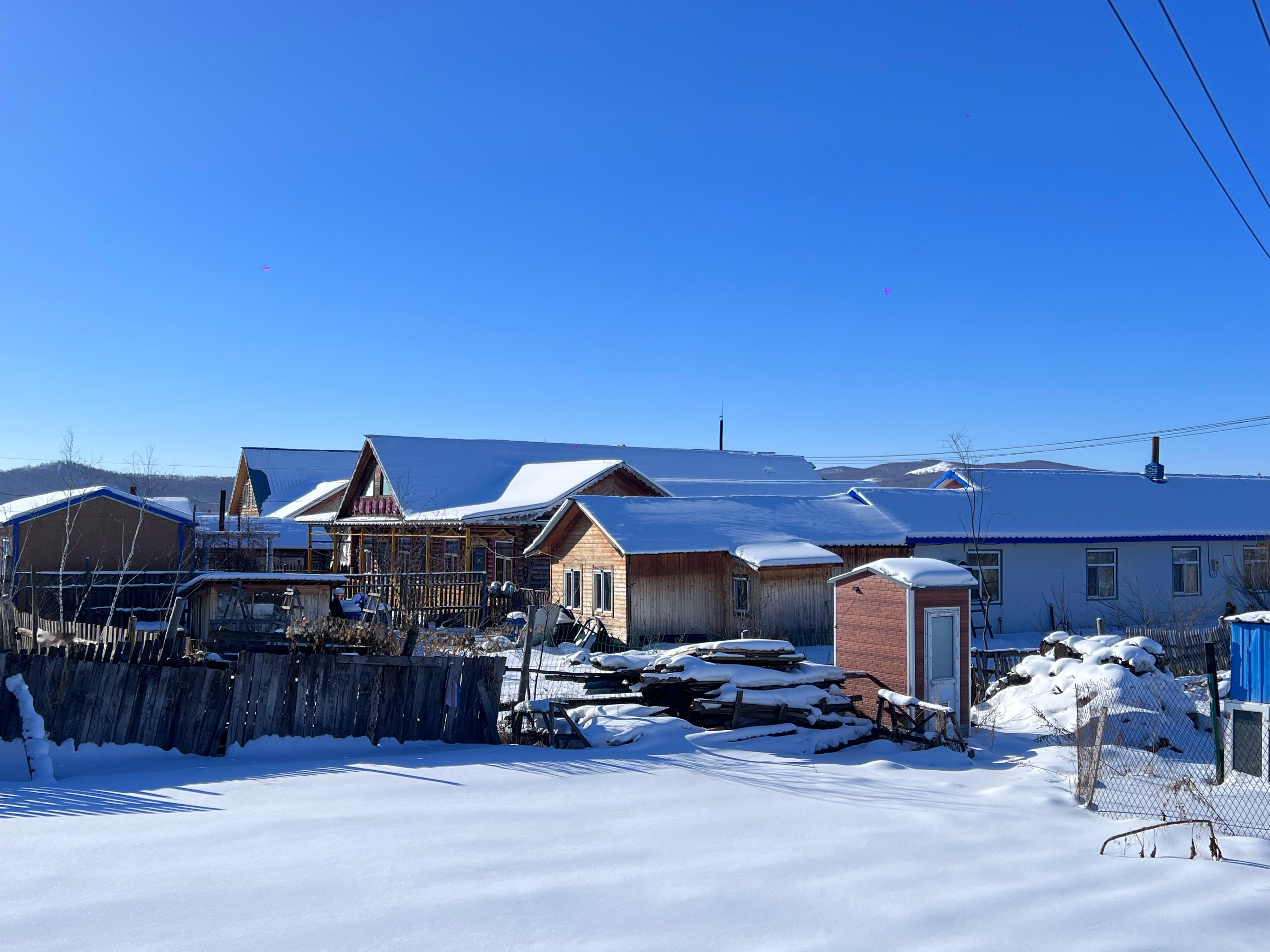 额尔古纳的驯鹿一头不剩都上山了[笑cry]鄂温克族还真不是想见就能见  